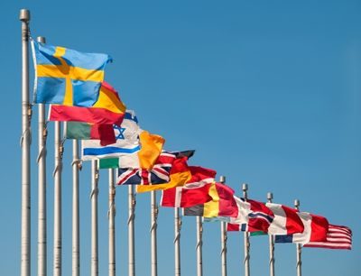 Multinational Businesses