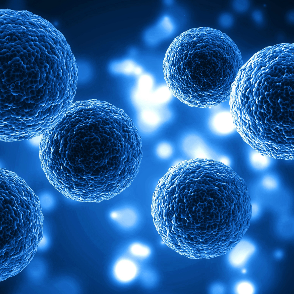 NLS biorezonanciás állapotfelmérés