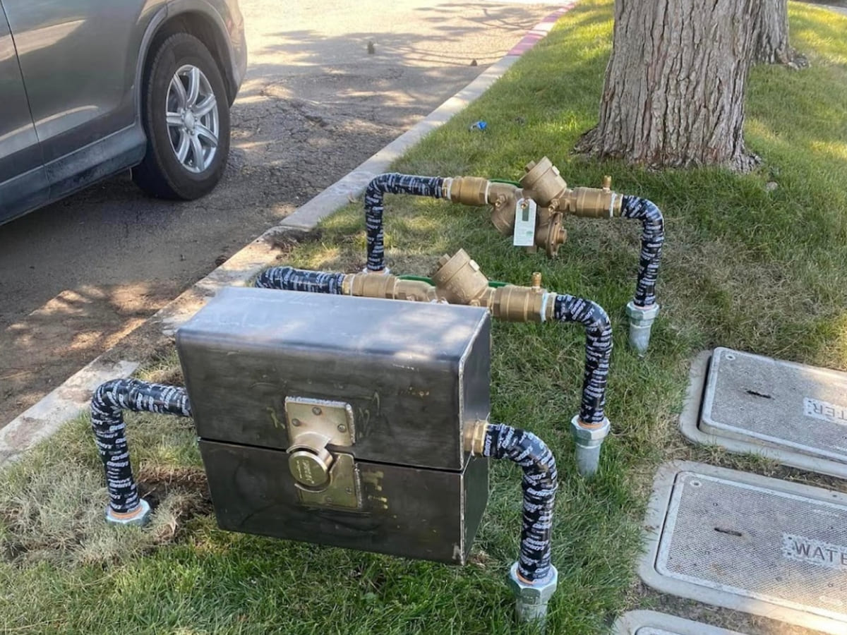 A newly installed backflow prevention system with brass valves and insulated pipes next to a tree and curbside, highlighting modern backflow prevention for residential or commercial use.