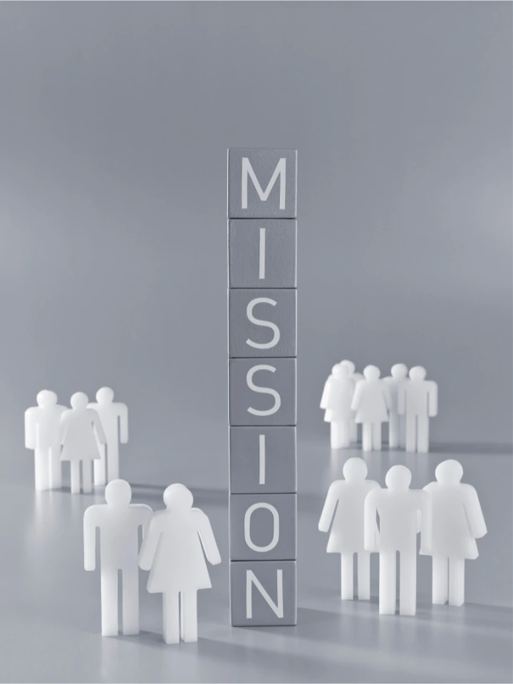 BitBlaze LTD Mission and Values