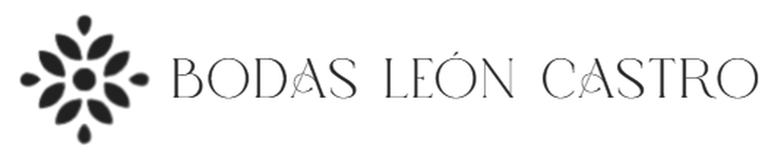 León Castro Bodas