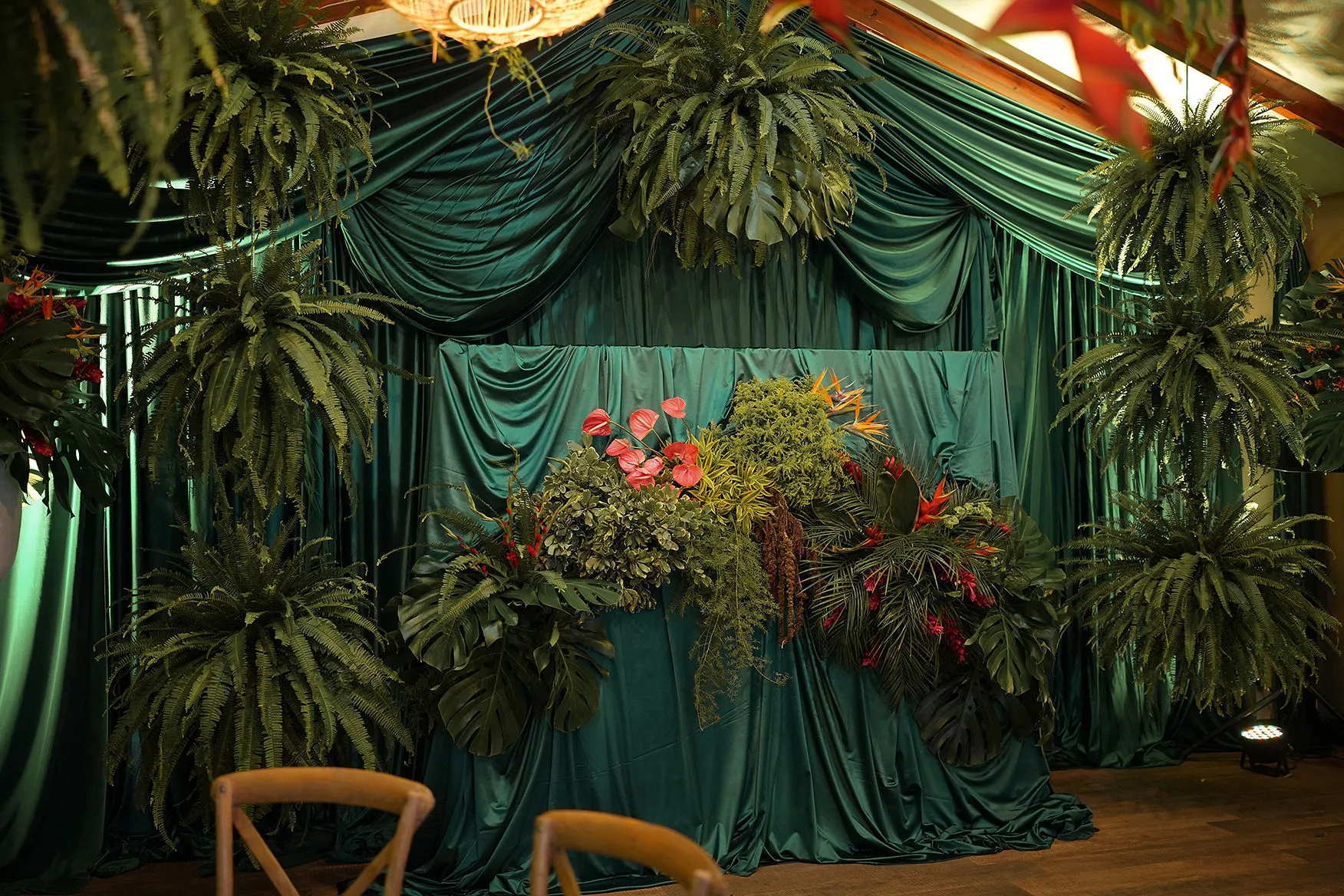 Escenario tropical con follaje verde