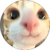 Ceci