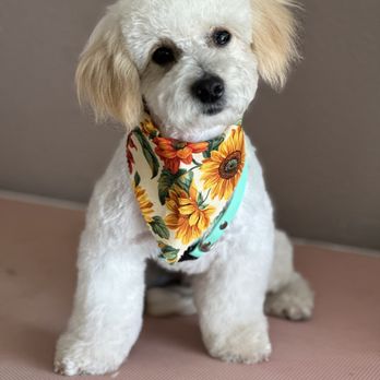 Pet gallery image 16