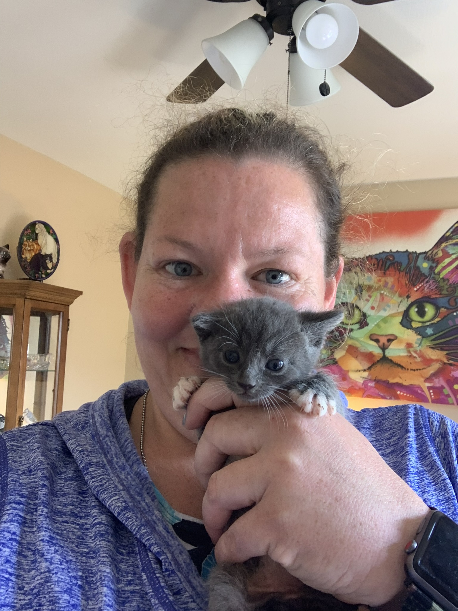 Pet gallery image 2