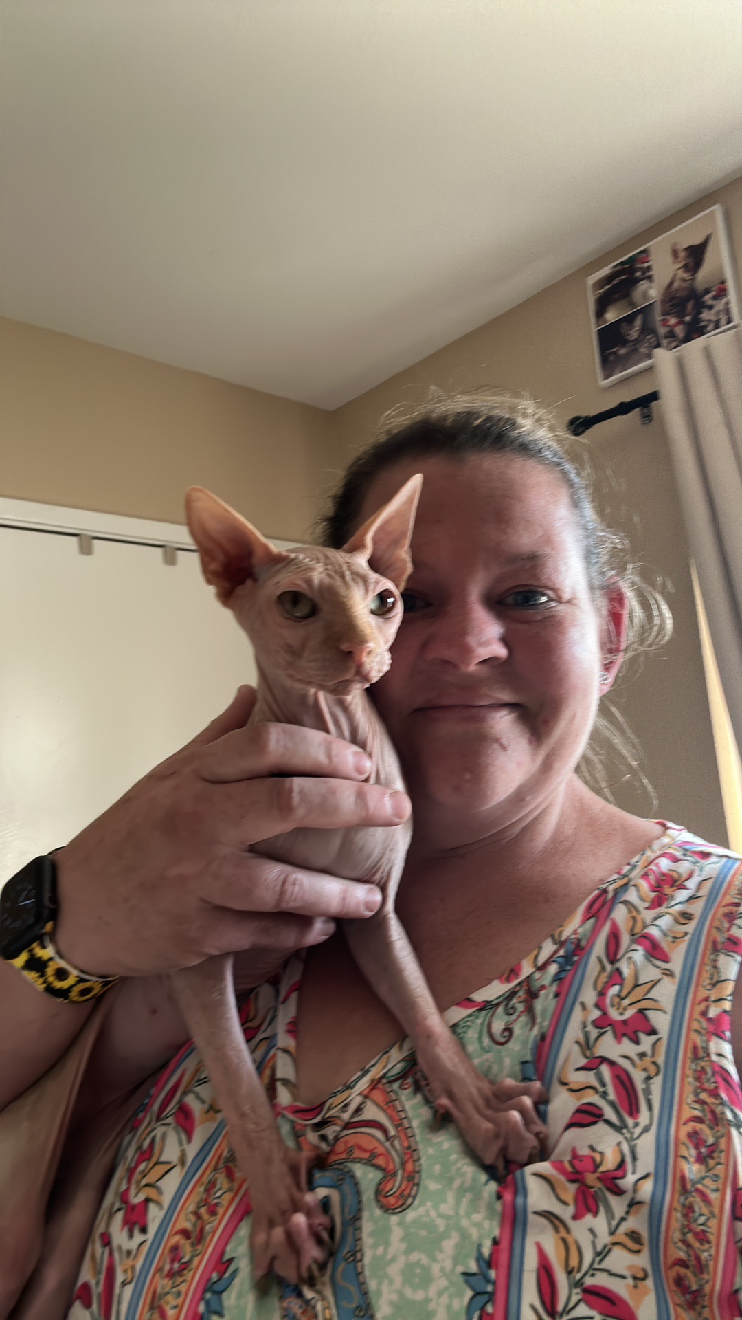 Pet gallery image 4