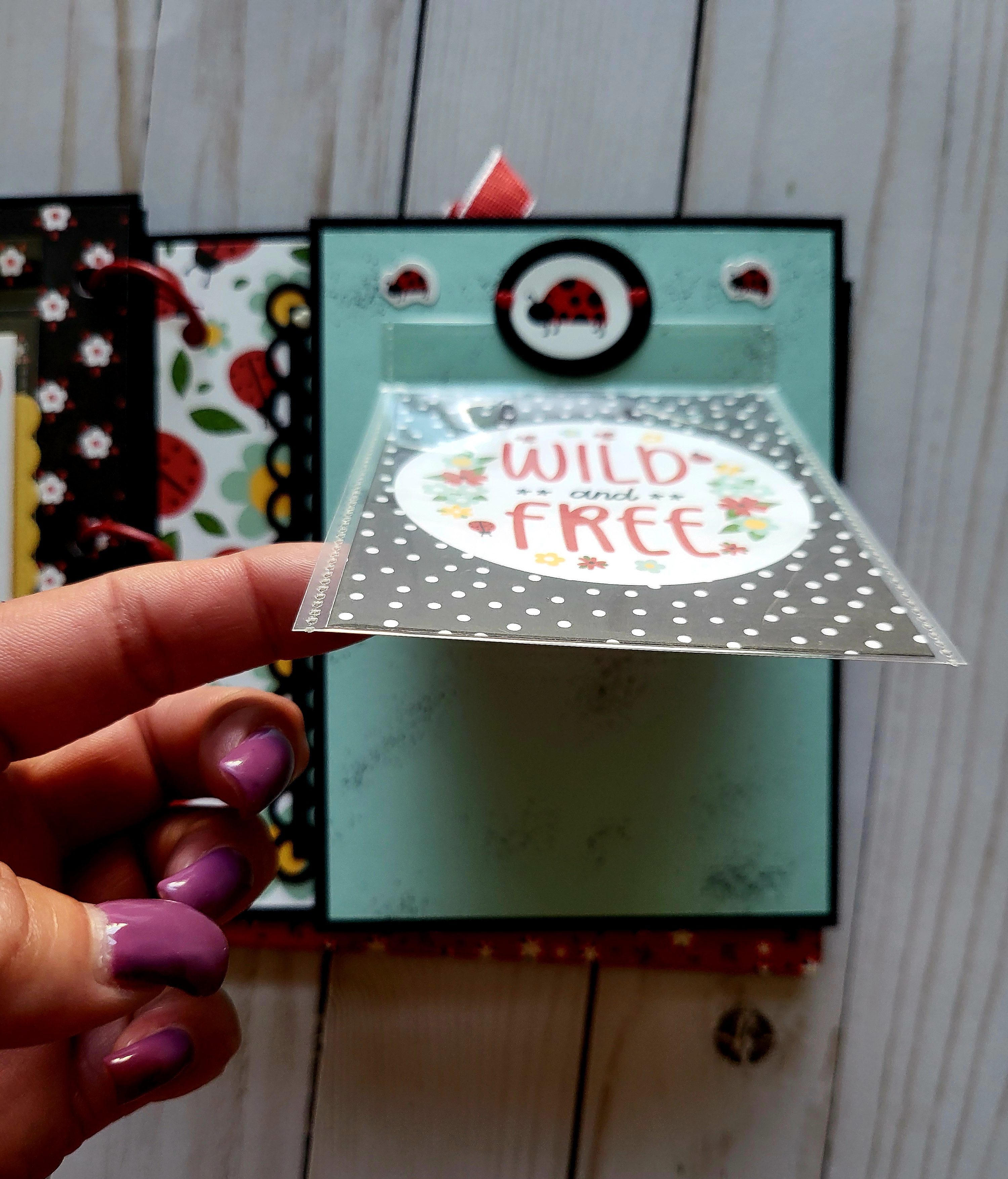 Ladybugs, black acrylic album, memory album, scrapbooking, spring, black, red. 