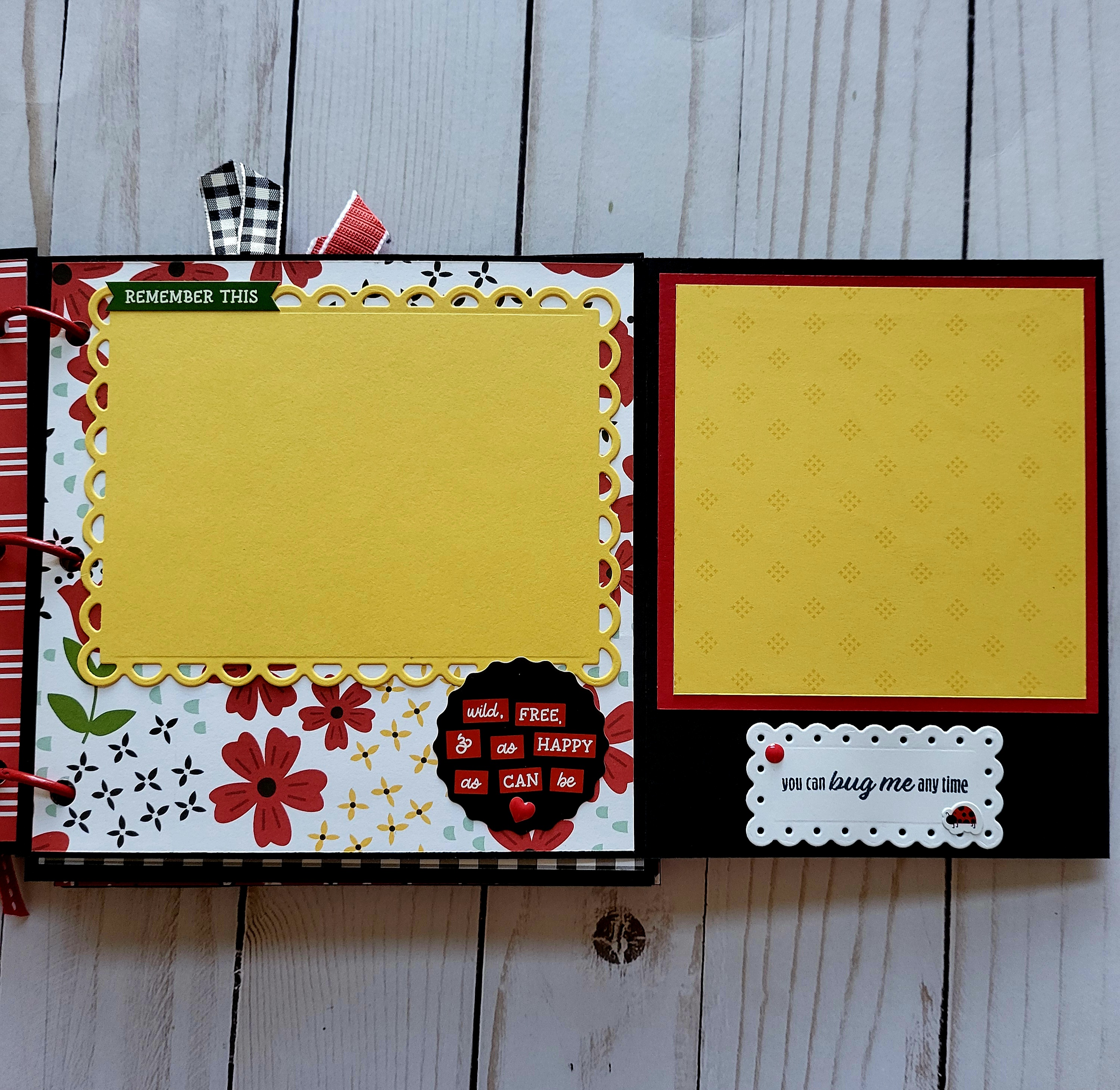 Ladybugs, black acrylic album, memory album, scrapbooking, spring, black, red. 