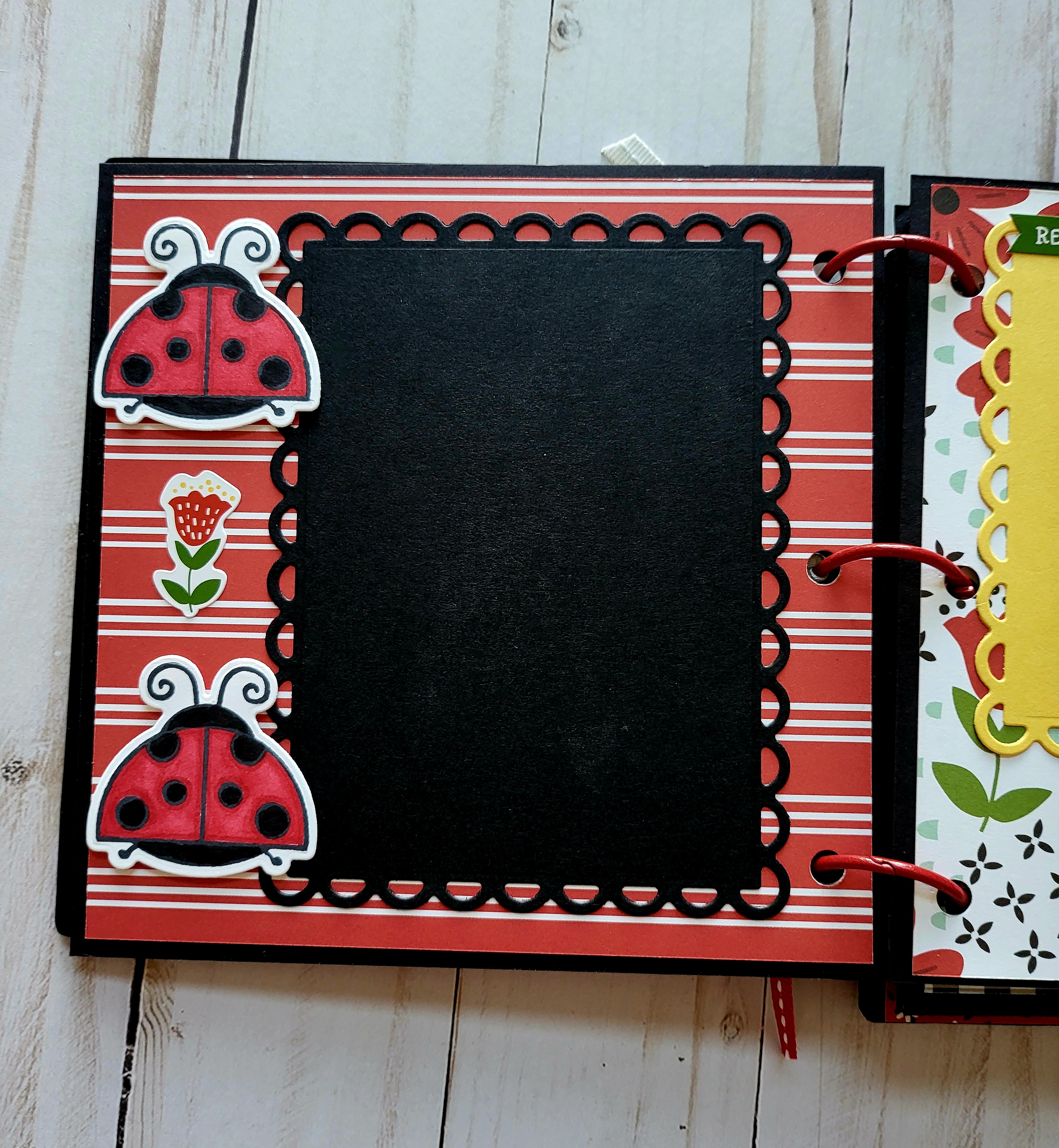 Ladybugs, black acrylic album, memory album, scrapbooking, spring, black, red. 