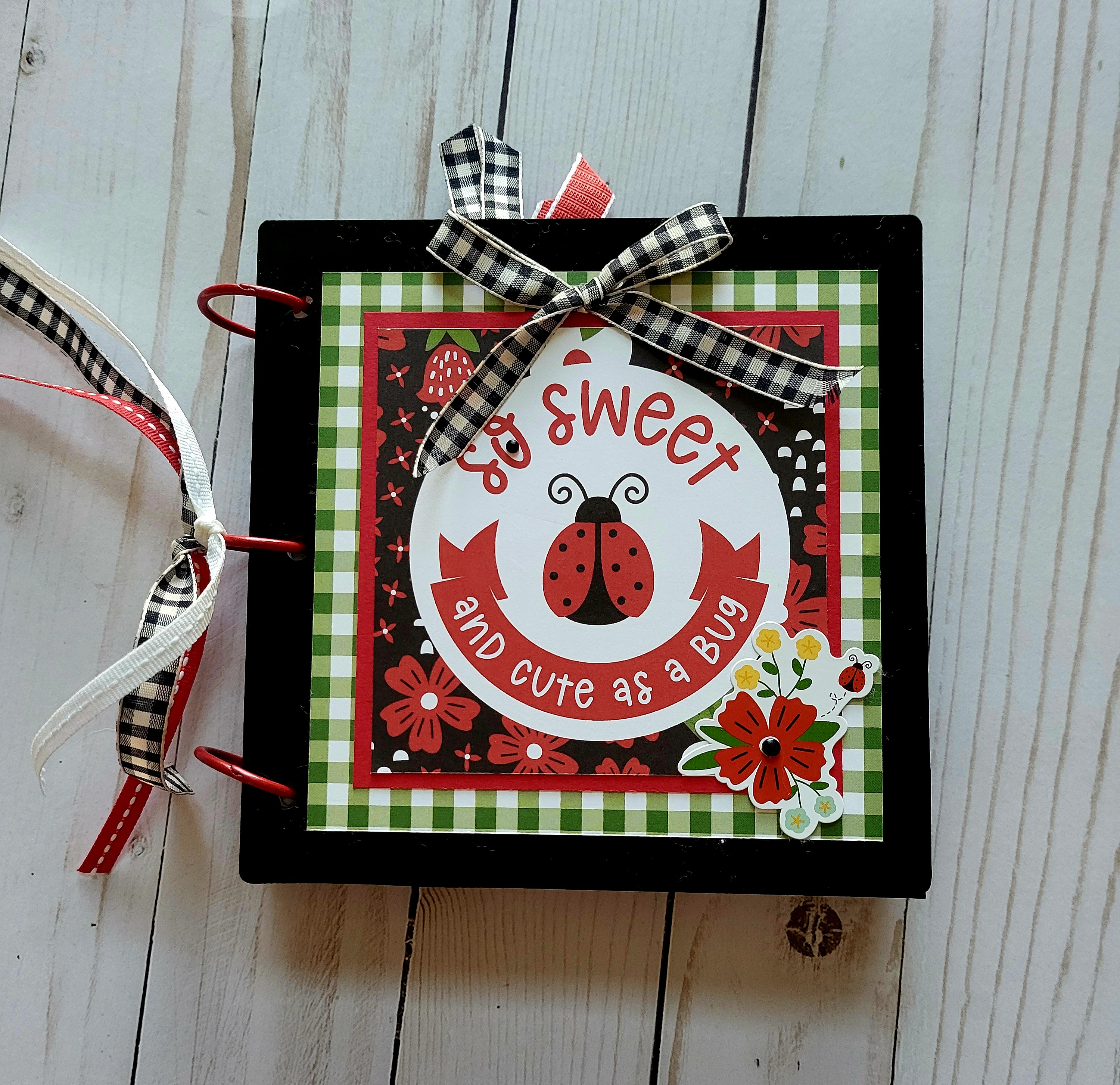 Little Ladybugs, Black acrylic album, spring, cute, memory book