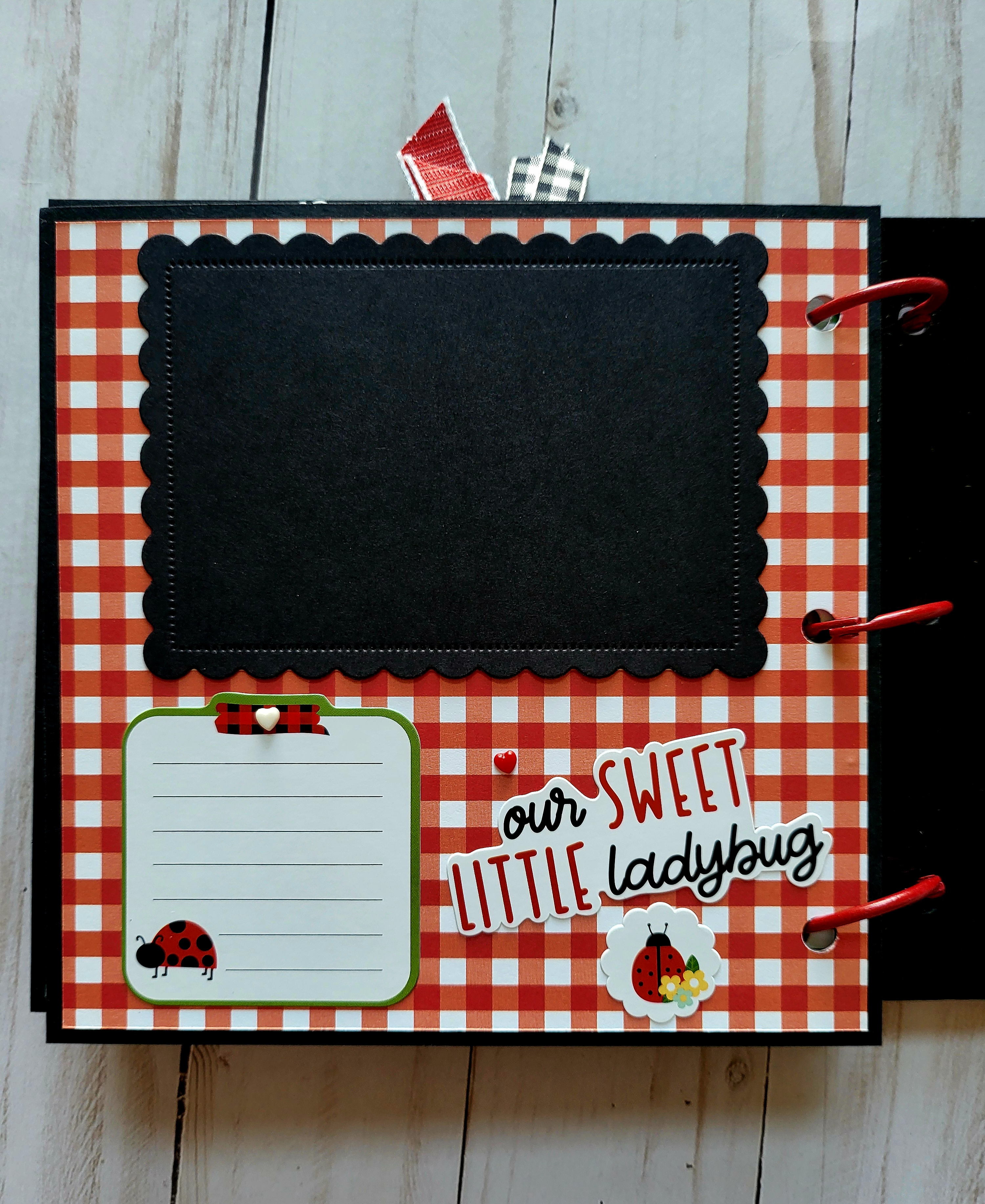 Ladybugs, black acrylic album, memory album, scrapbooking, spring, black, red. 