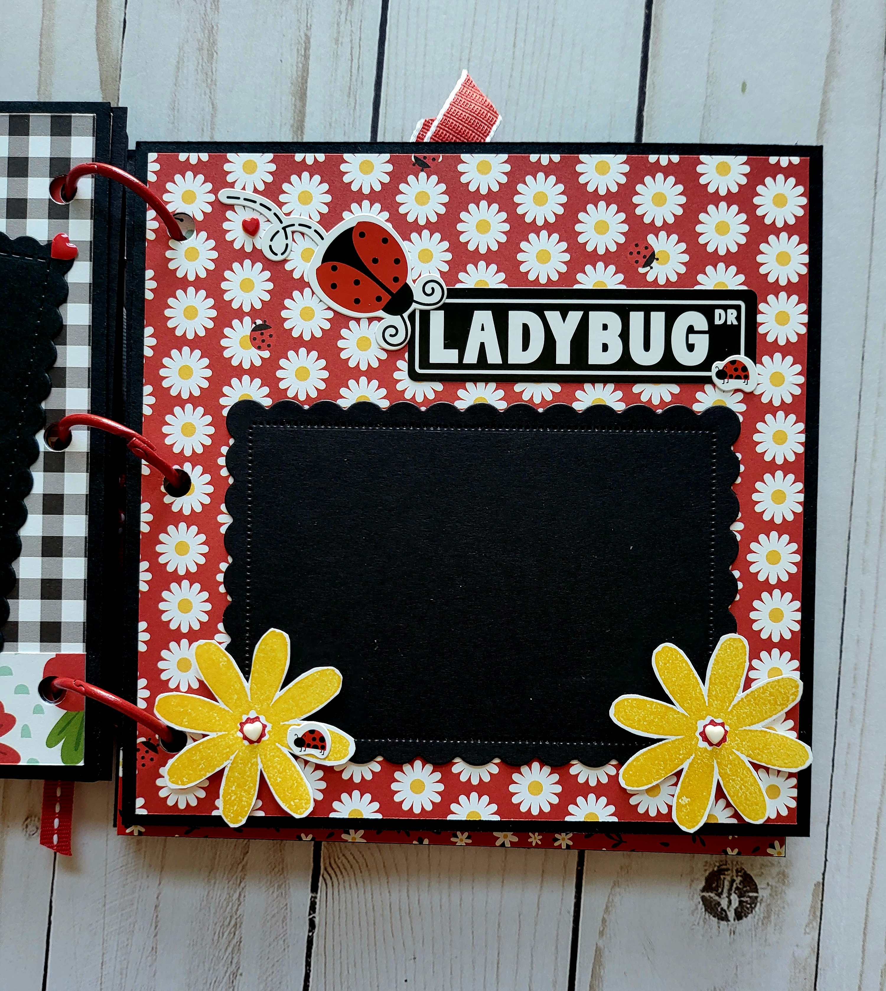 Ladybugs, black acrylic album, memory album, scrapbooking, spring, black, red. 