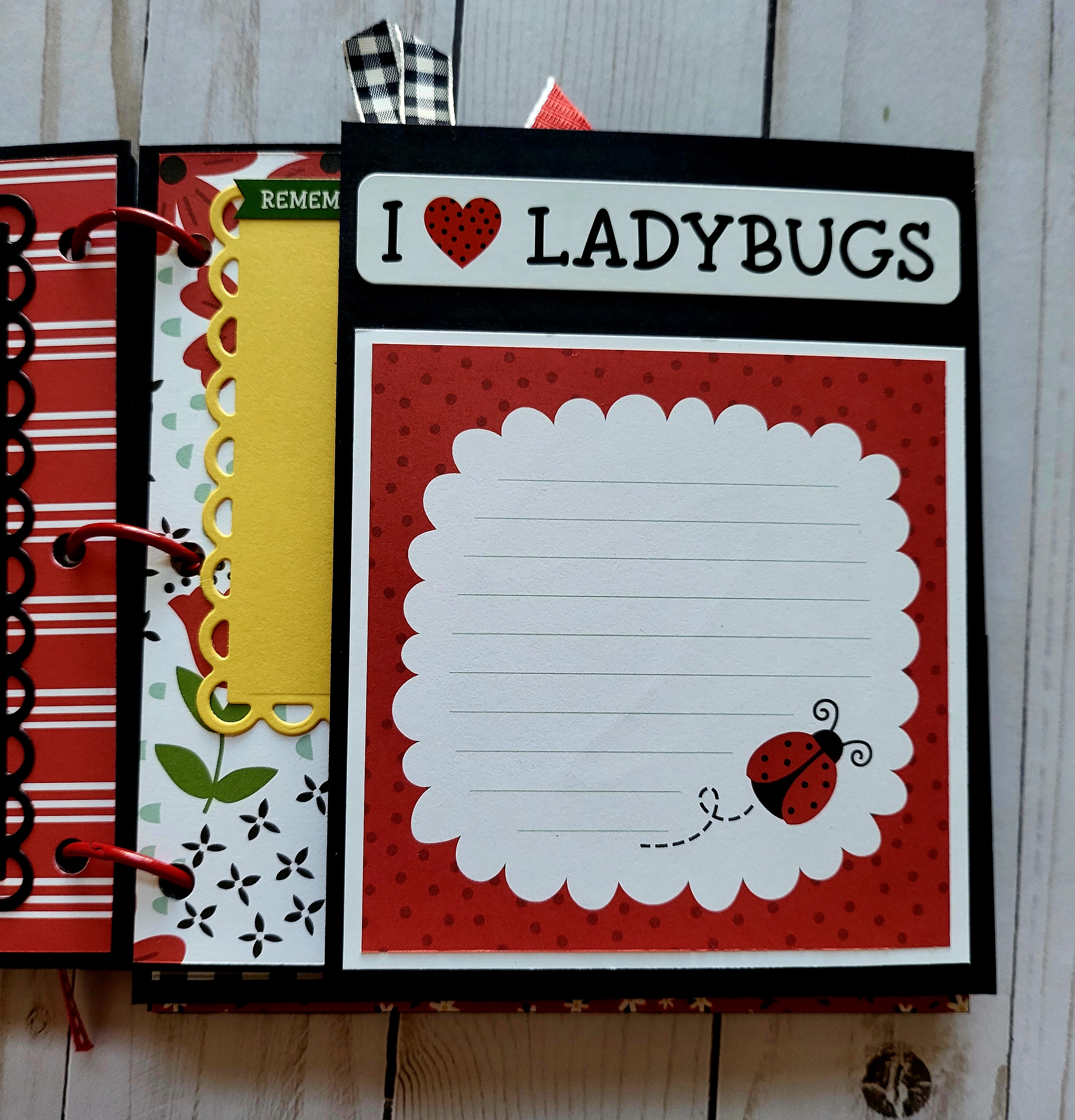 Ladybugs, black acrylic album, memory album, scrapbooking, spring, black, red. 