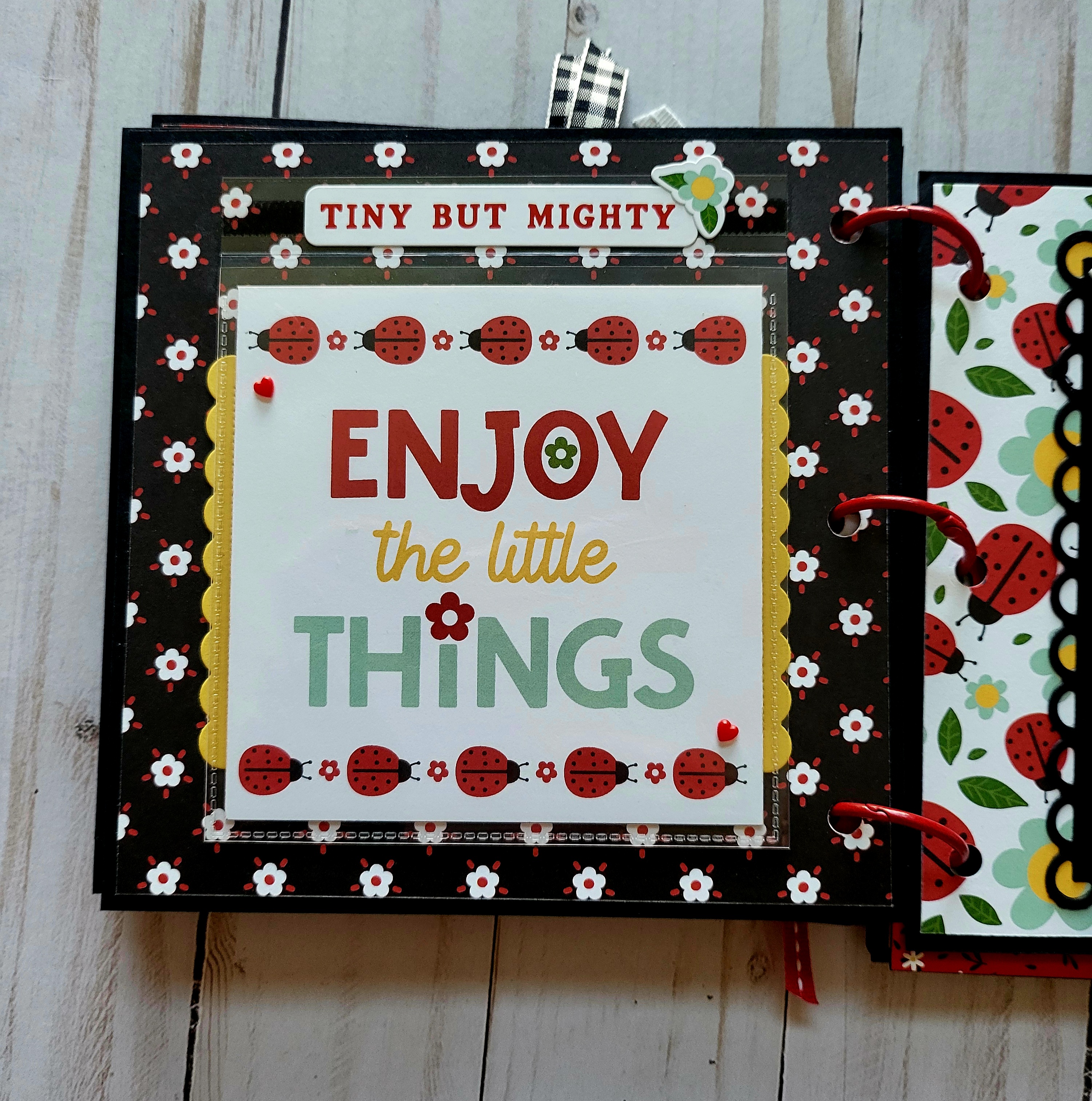 Ladybugs, black acrylic album, memory album, scrapbooking, spring, black, red. 