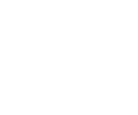 Virs