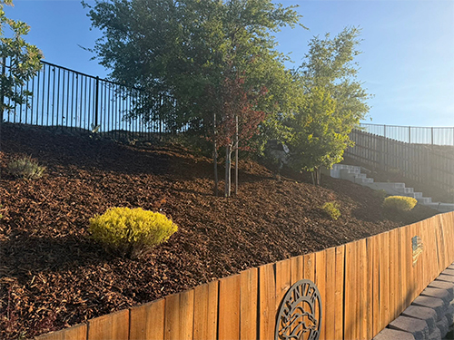 Sod Installation Cameron Park, CA