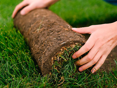 Sod Installation in Cameron Park, CA