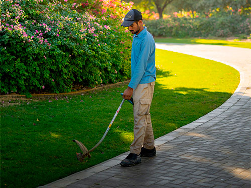 Complete Garden Care Services in Cameron Park, CA
