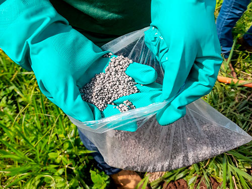 Lawn Fertilization Services in Cameron Park, CA