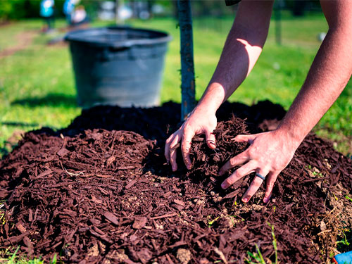 Mulch Installation in Cameron Park, CA
