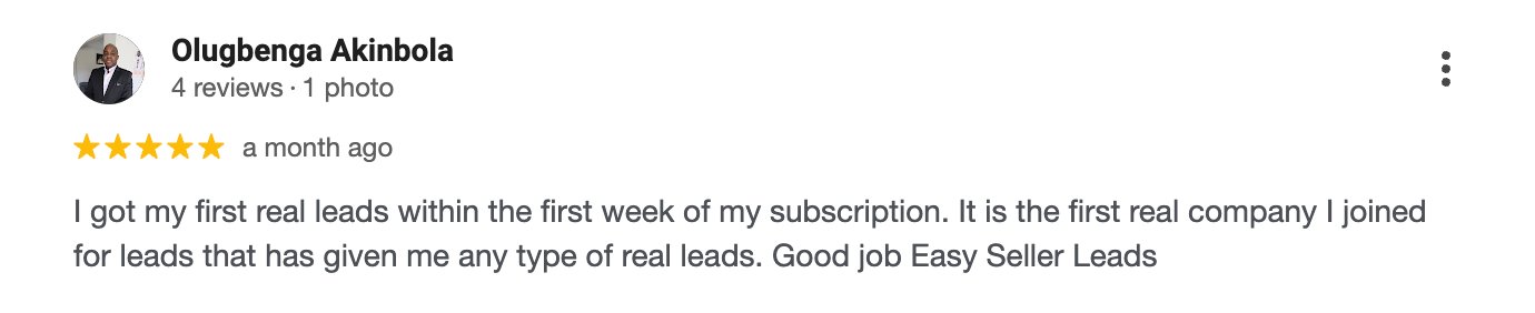 Five-star Google review for Easy Seller Leads