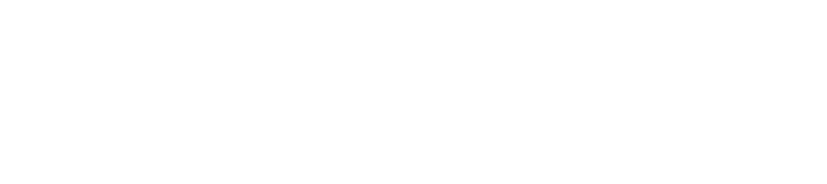 Land O' Lakes Screen Enclosures Logo