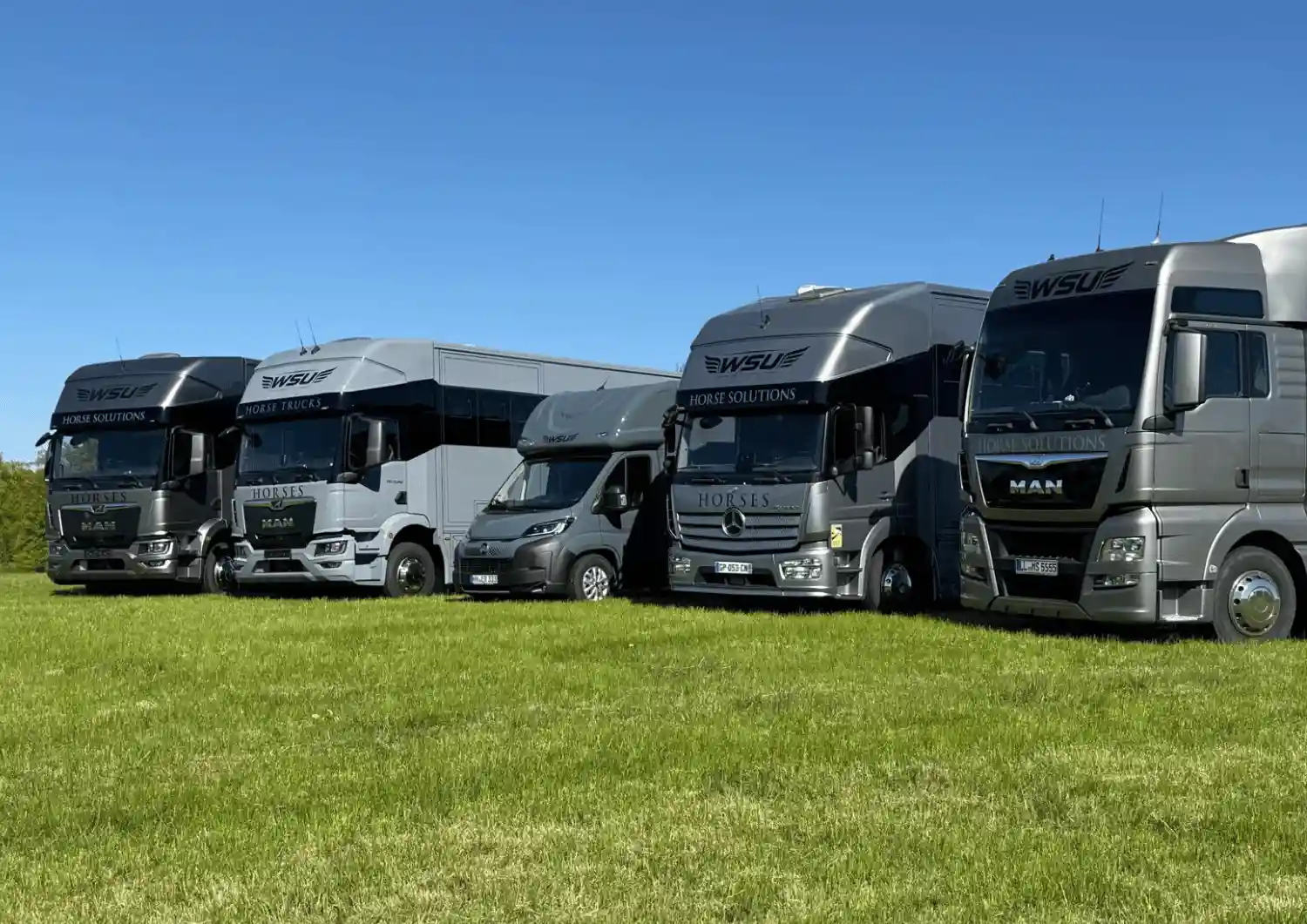 Premium Pferdetransporter