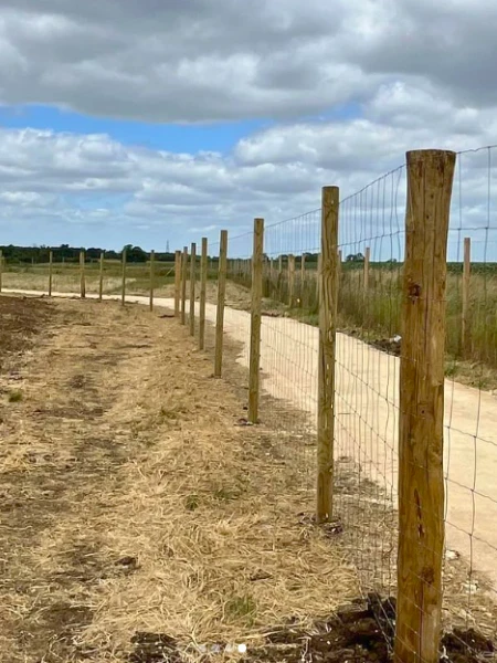 Deer Fencing