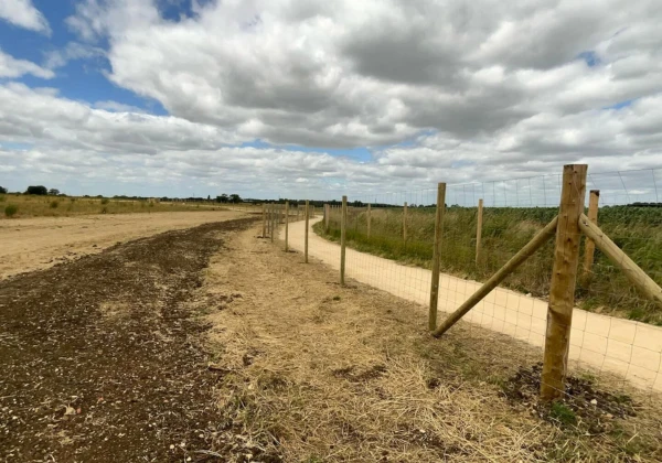 Strained Wire Deer Fencing