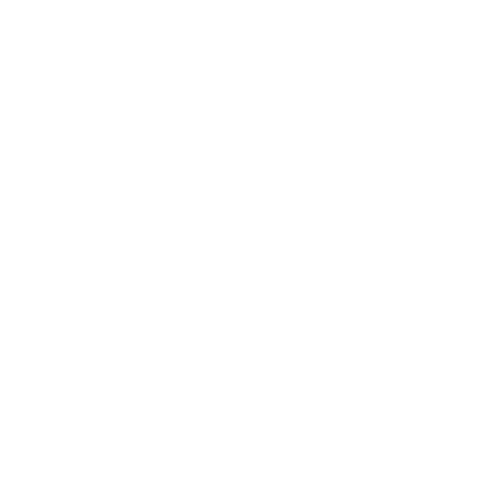 Smoove Move Logo
