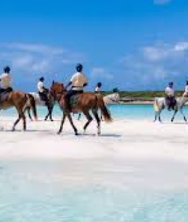 Horseback Riding on the Beach