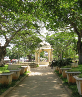 Stone Town City Tour