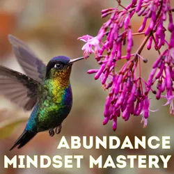 Abundance Mindset Mastery