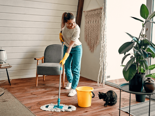 La Vista Recurring Weekly Cleaning