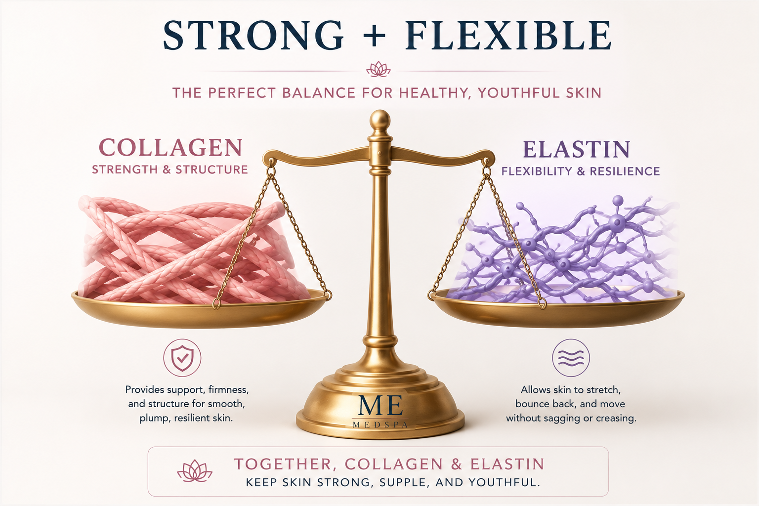   Illustration showing collagen and elastin working together to support healthy skin