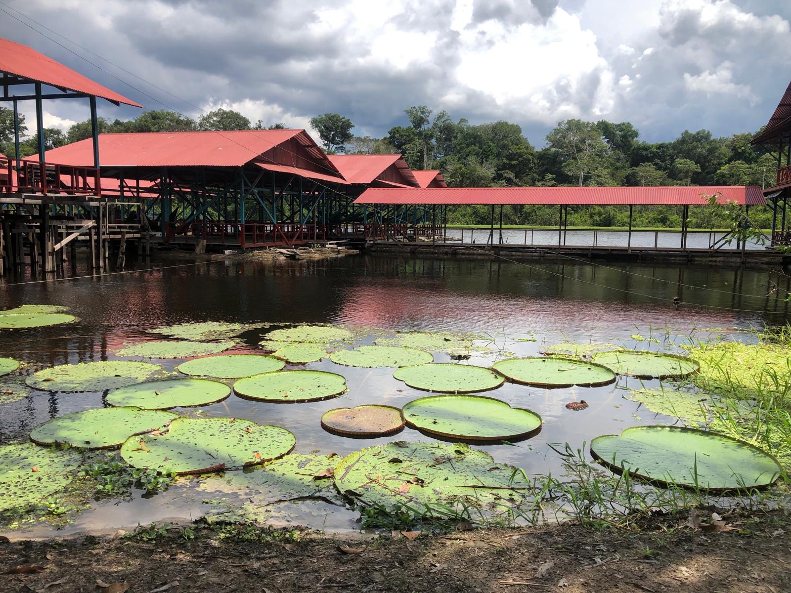 21-Day Residential Healing Journey