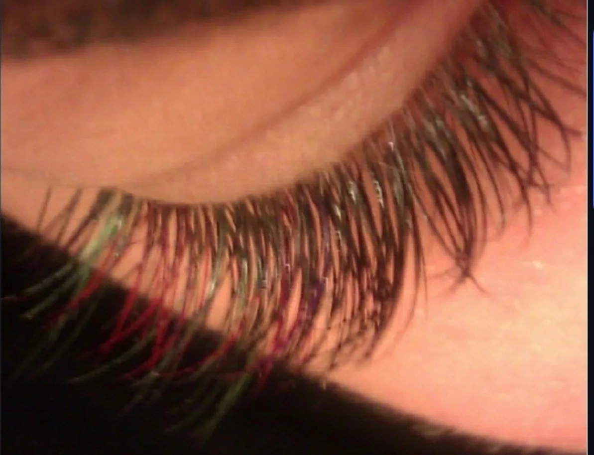 Lash extensions with color accents close-up