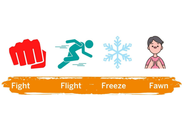 Fight Flight Freeze Fawn Fight Flight Freeze Fawn