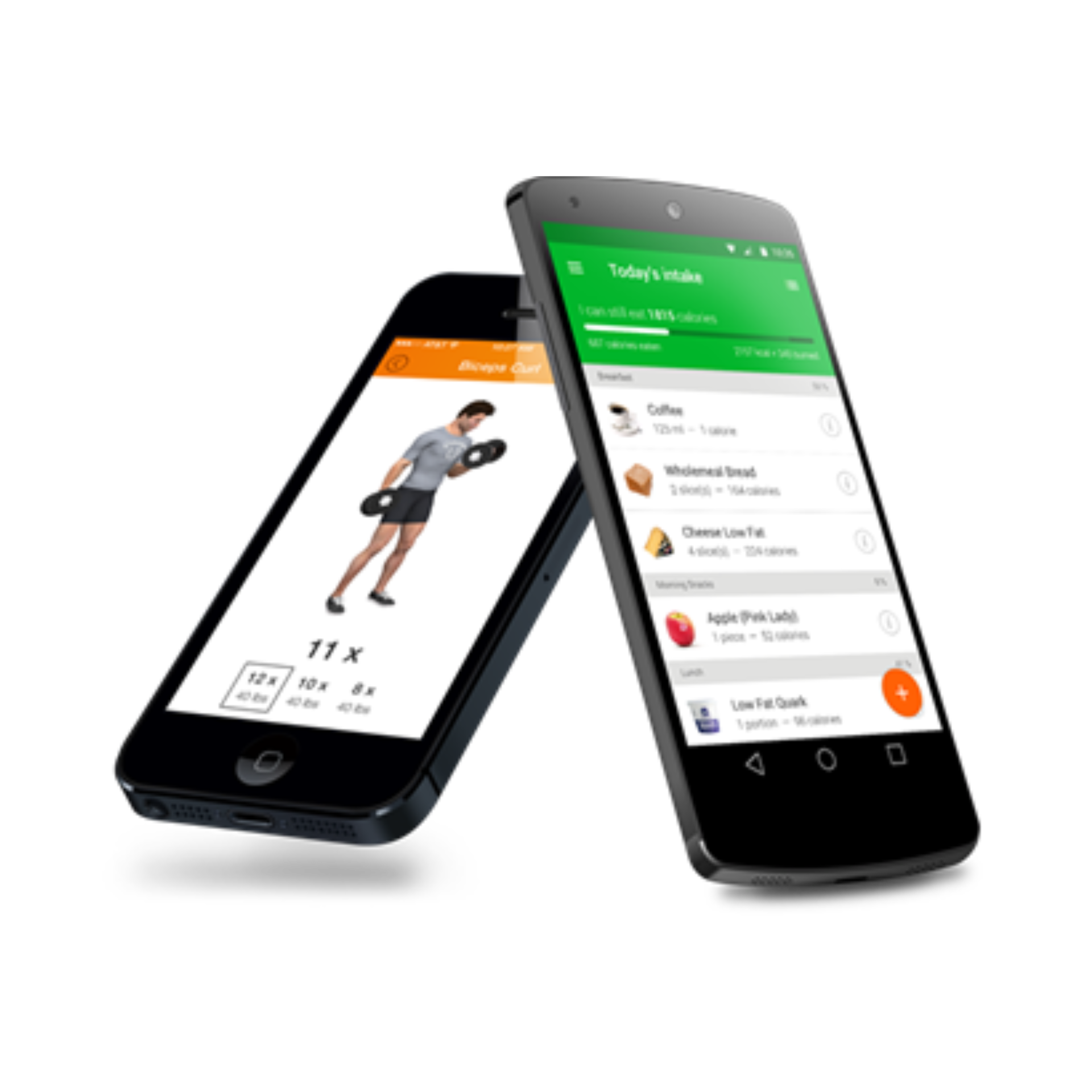 RISE coaching, nutrition and training support in the member app
