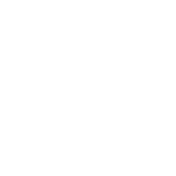 anatomy of success