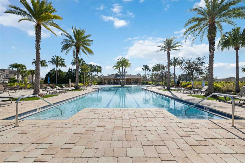 Resort-style community pool surrounded by palms in Bradenton, Florida