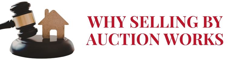 Selling by auction in Nelson
