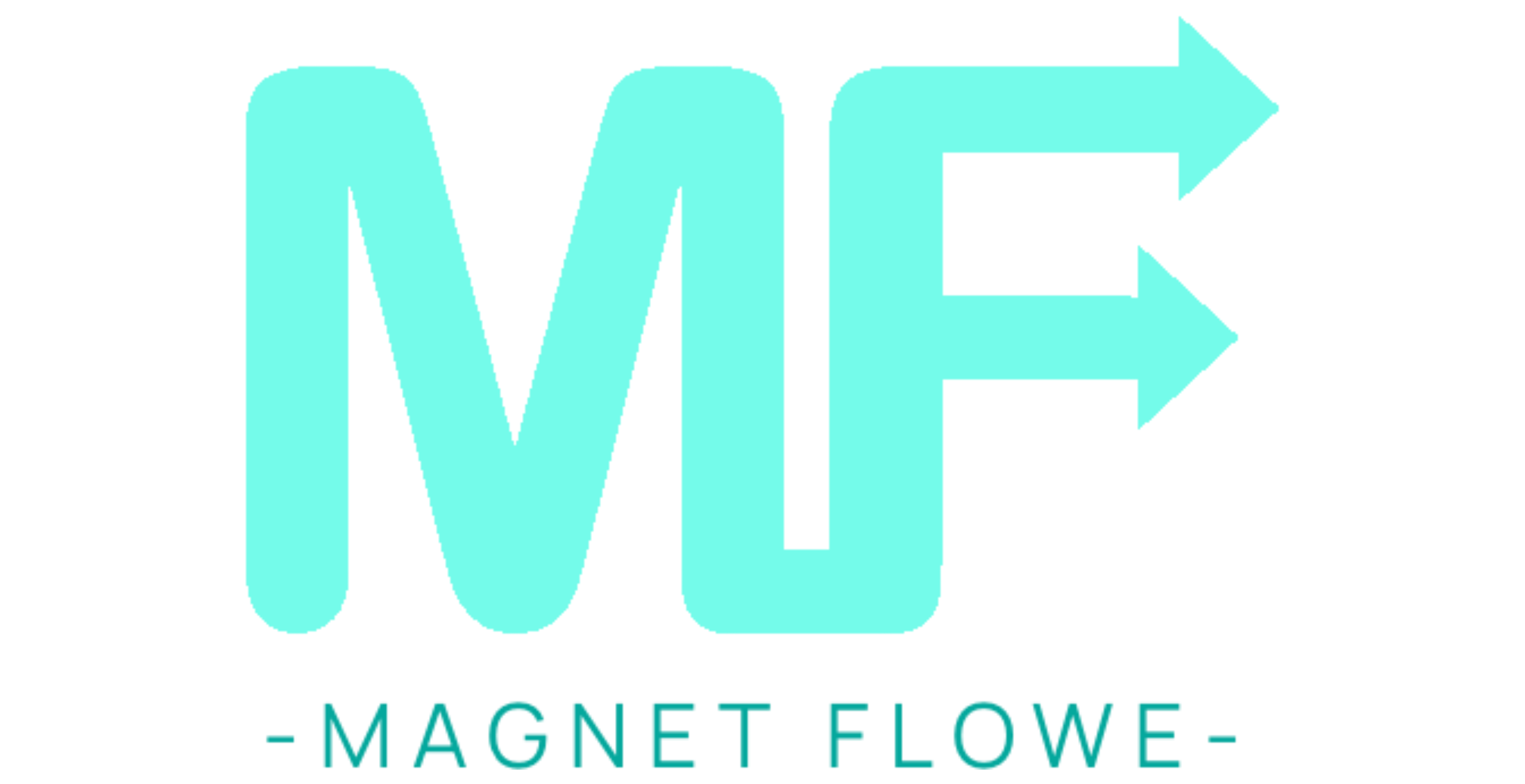 Magnet Flowe Checkout