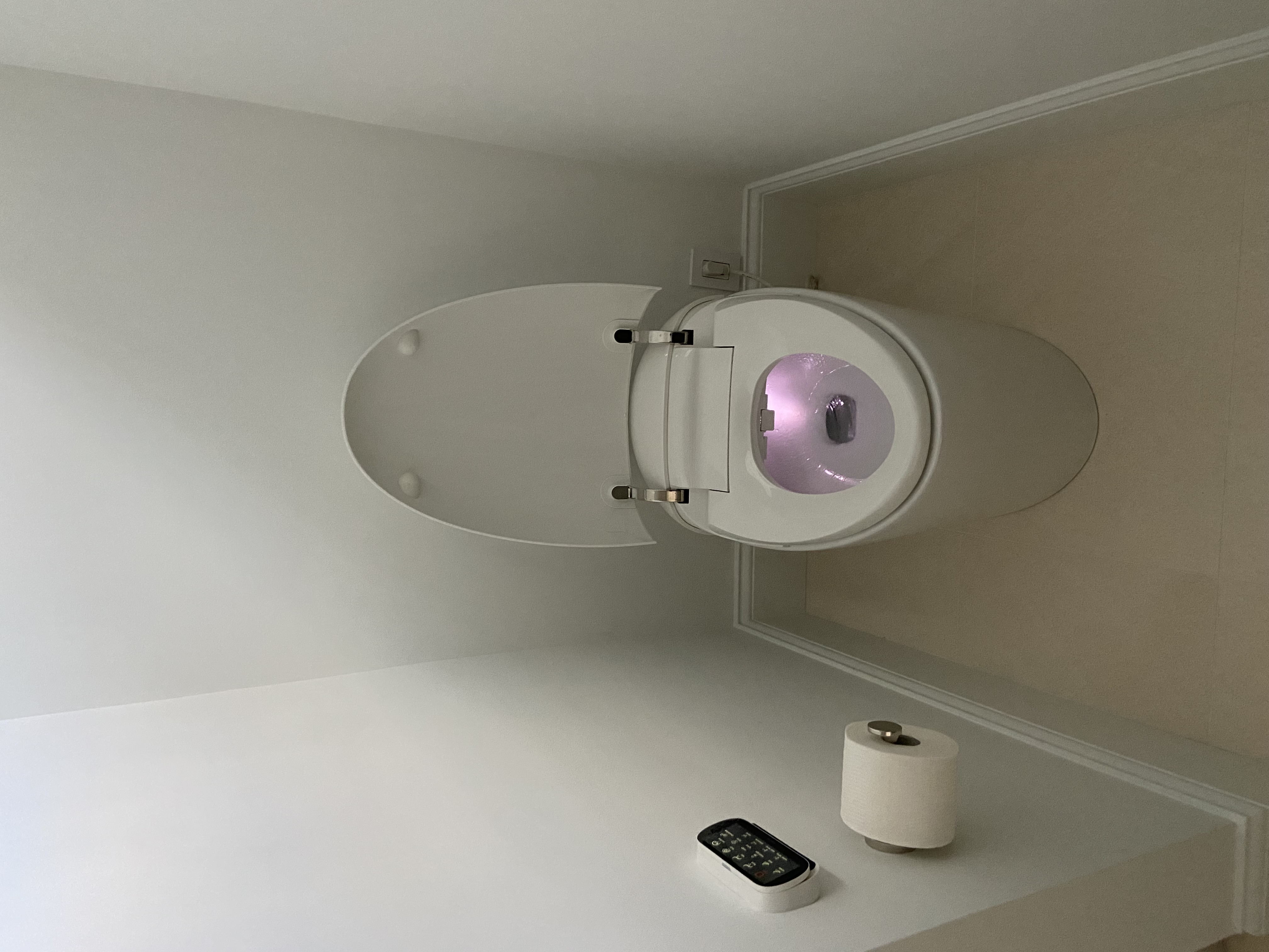 Toilet Remodeling
