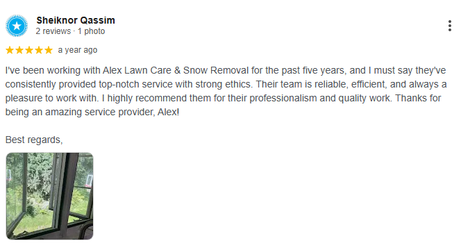 Review from Sheiknor Qassim