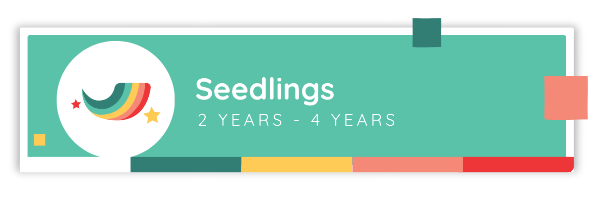 seedlings 2 years to 4 years
