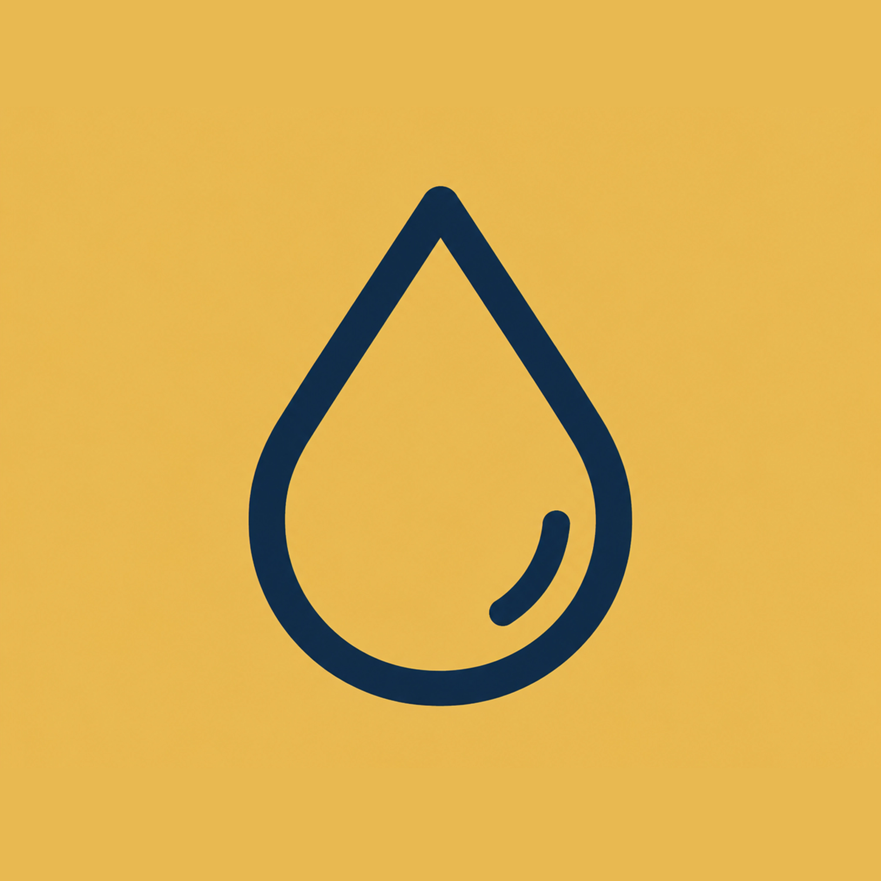 Leak Repairs