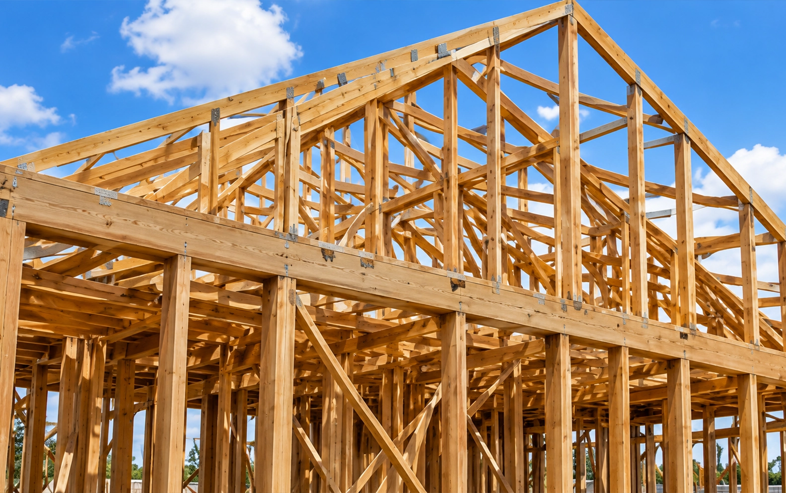 Builders and contractors