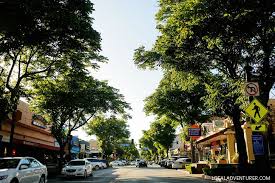 tree service near me burbank ca tree removal tree trimming tree pruning crane land clearing