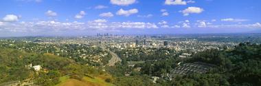 tree service mulholland drive